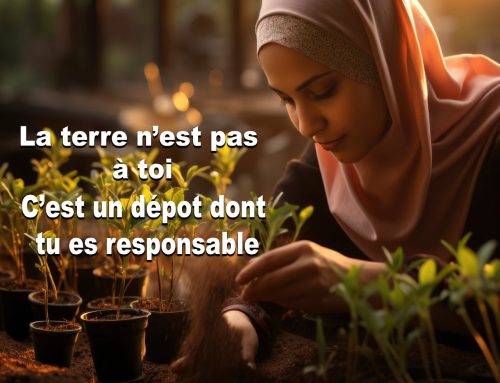 صورة اليوم: استحفظوا على الأرض وما فيها