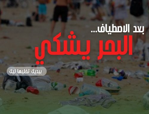 صورة اليوم : حالة البحر في صائفة 2025